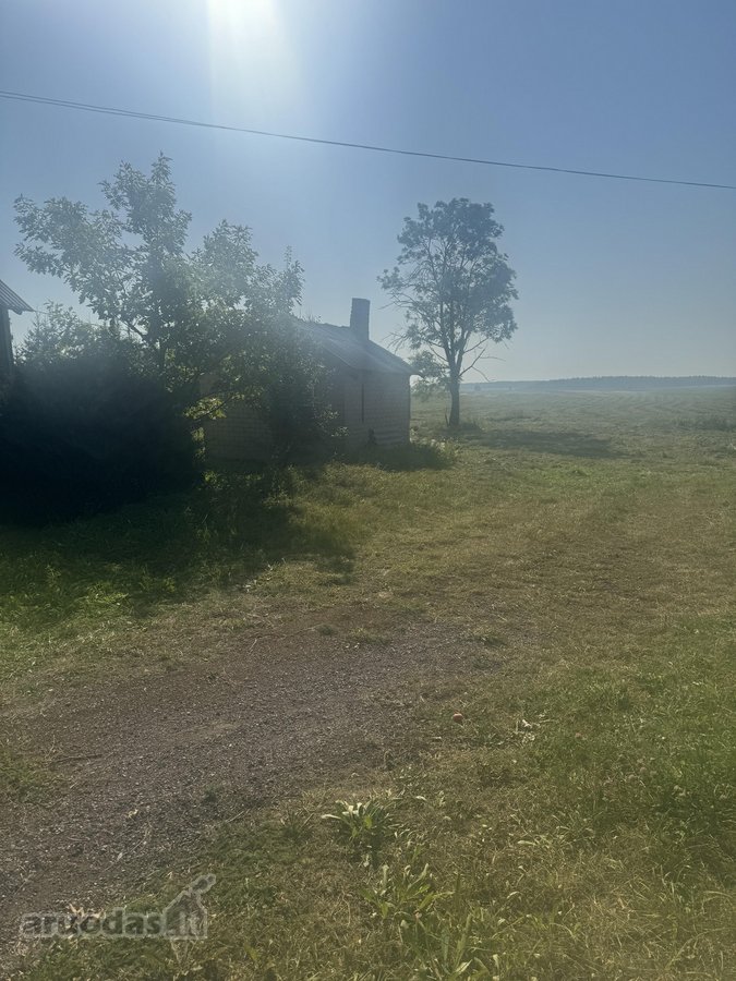 Yra galimybę nusipirkti šalia sodybos 3,4 ha - nuotraukos Nr. 3