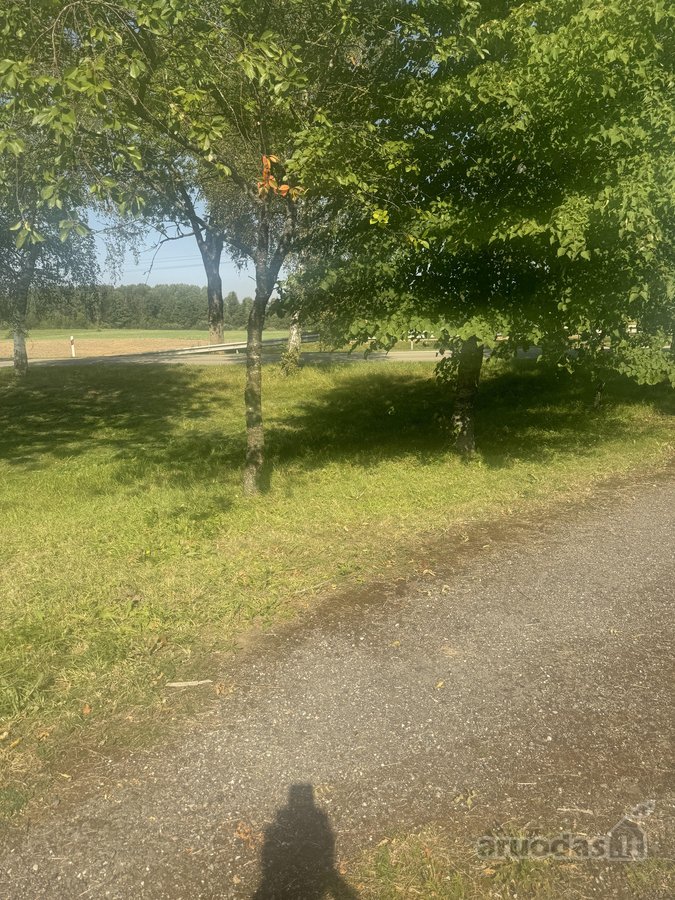 Yra galimybę nusipirkti šalia sodybos 3,4 ha - nuotraukos Nr. 5