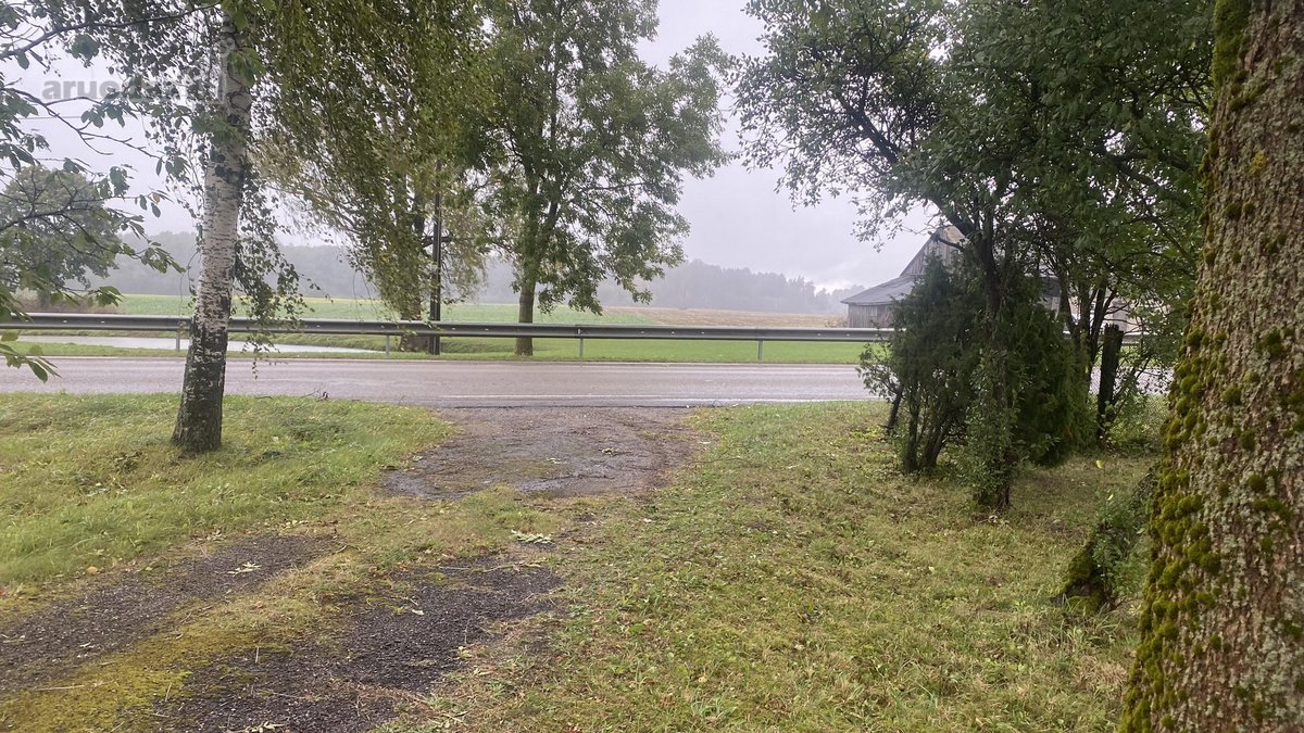 Yra galimybę nusipirkti šalia sodybos 3,4 ha - nuotraukos Nr. 10