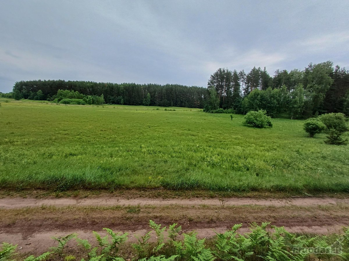 Tarp dviejų ežerų parduodamas 1,285ha sklypas - nuotraukos Nr. 4