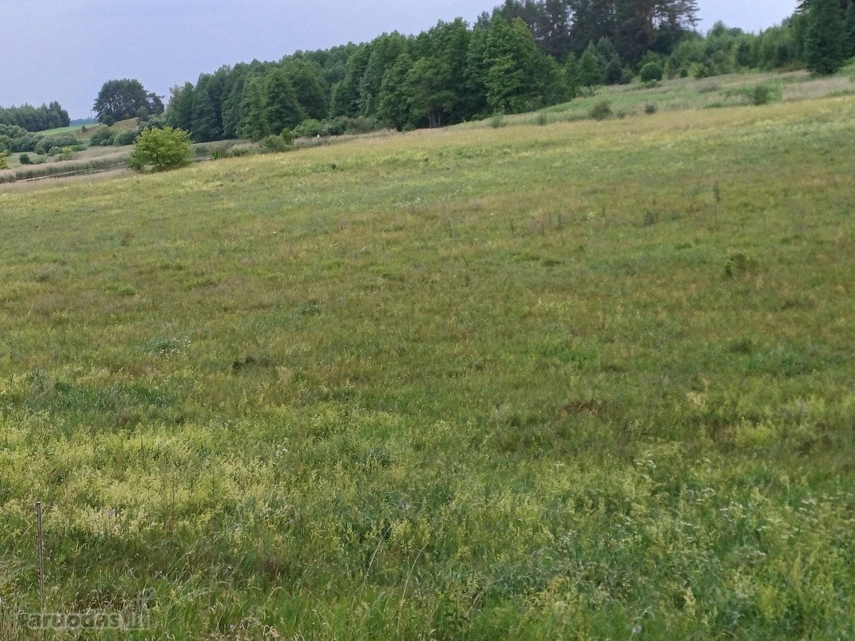 Tarp dviejų ežerų parduodamas 1,285ha sklypas - nuotraukos Nr. 5