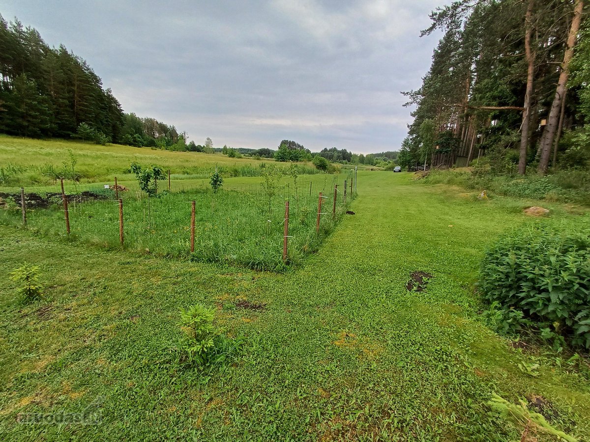 Tarp dviejų ežerų parduodamas 1,285ha sklypas - nuotraukos Nr. 3