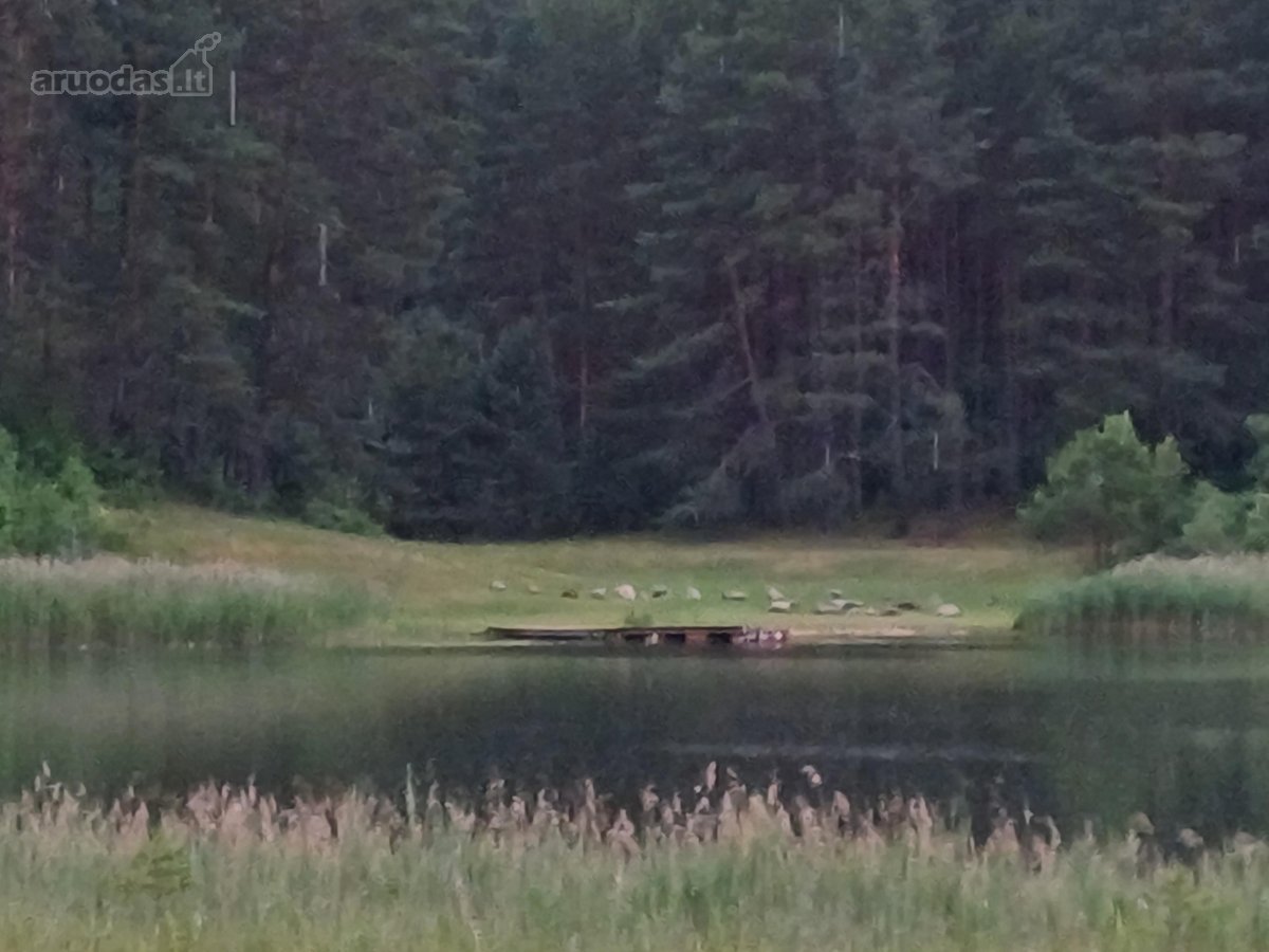Tarp dviejų ežerų parduodamas 1,285ha sklypas - nuotraukos Nr. 10
