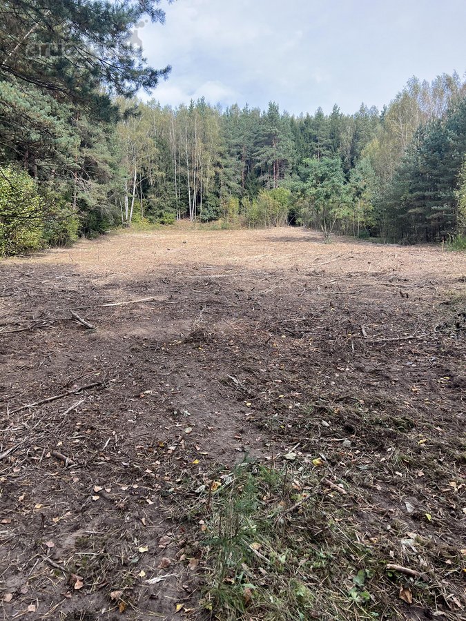 Parduodamas 1,2 ha sklypas, esantis Pasienių