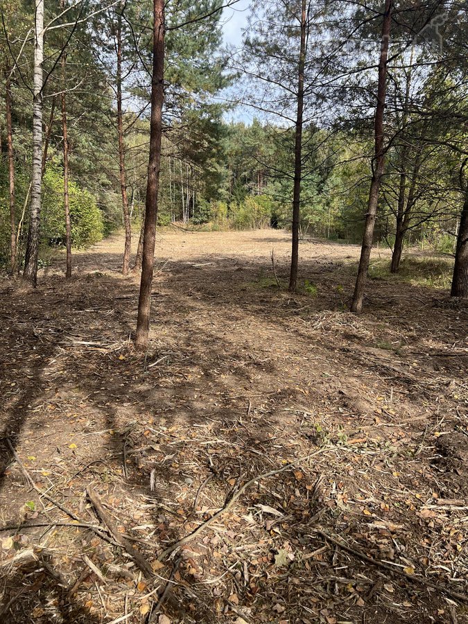 Parduodamas 1,2 ha sklypas, esantis Pasienių - nuotraukos Nr. 2
