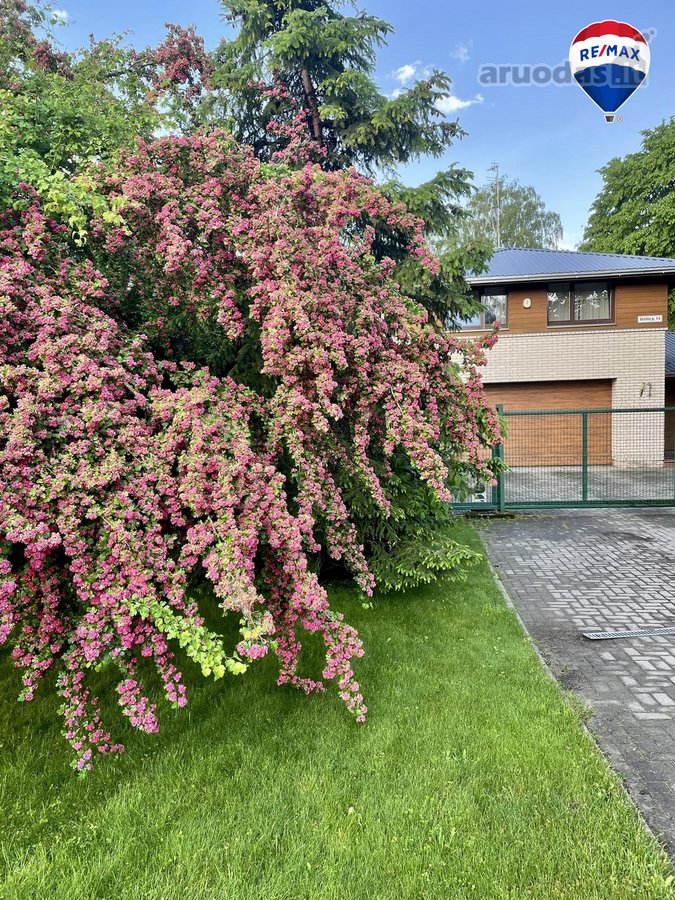 Geros architektūros namas šalia ąžuolyno! - nuotraukos Nr. 10
