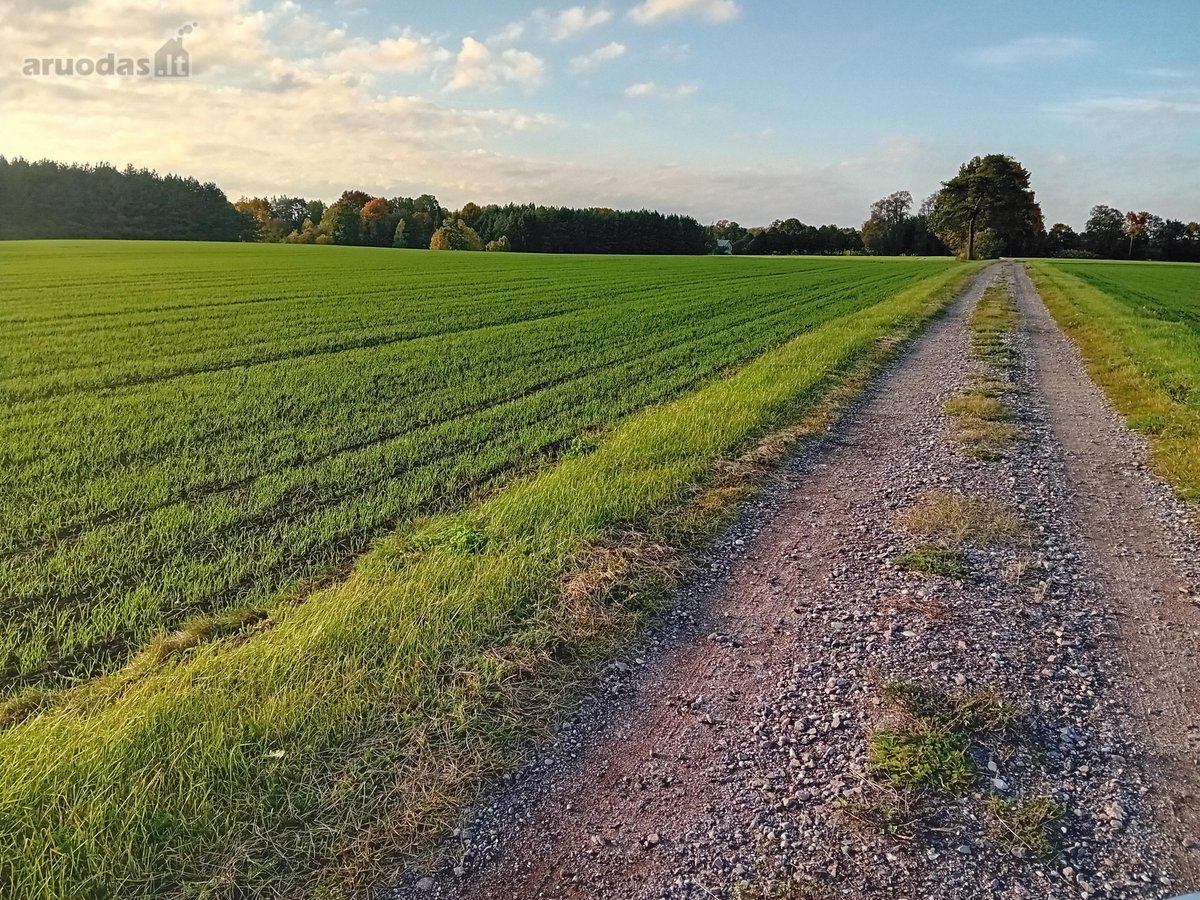 Parduodama sodyba ant Šušvės kranto, 6 km nuo - nuotraukos Nr. 7