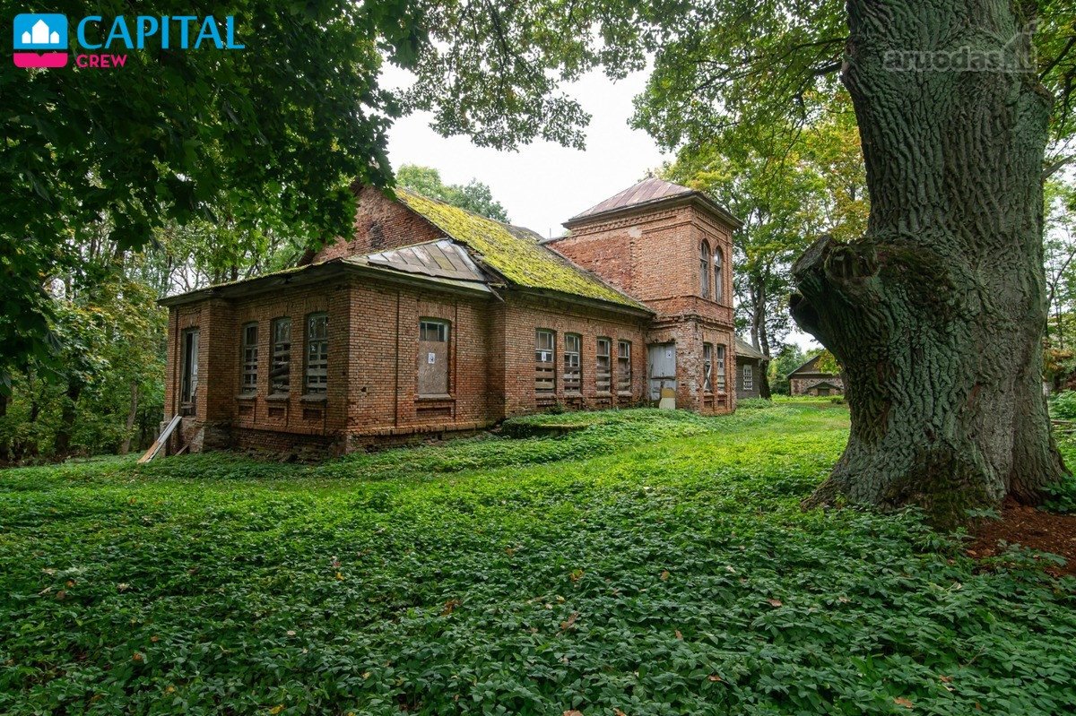 Nuostabioje vietoje, prie Kurėnų ežero,
