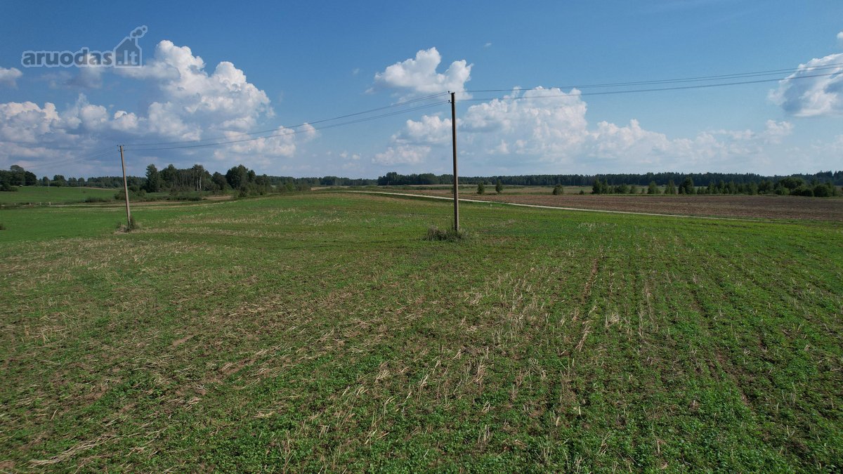 Parduodama Sodyba–vienkiemis Su 30 Arų Sklypu - nuotraukos Nr. 5