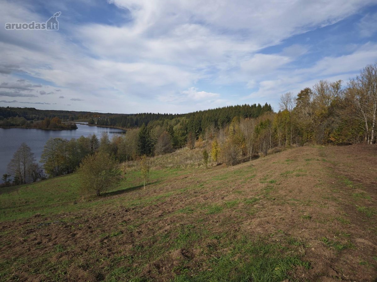 Parduodamas 2,28 h žemės sklypas prie - nuotraukos Nr. 7