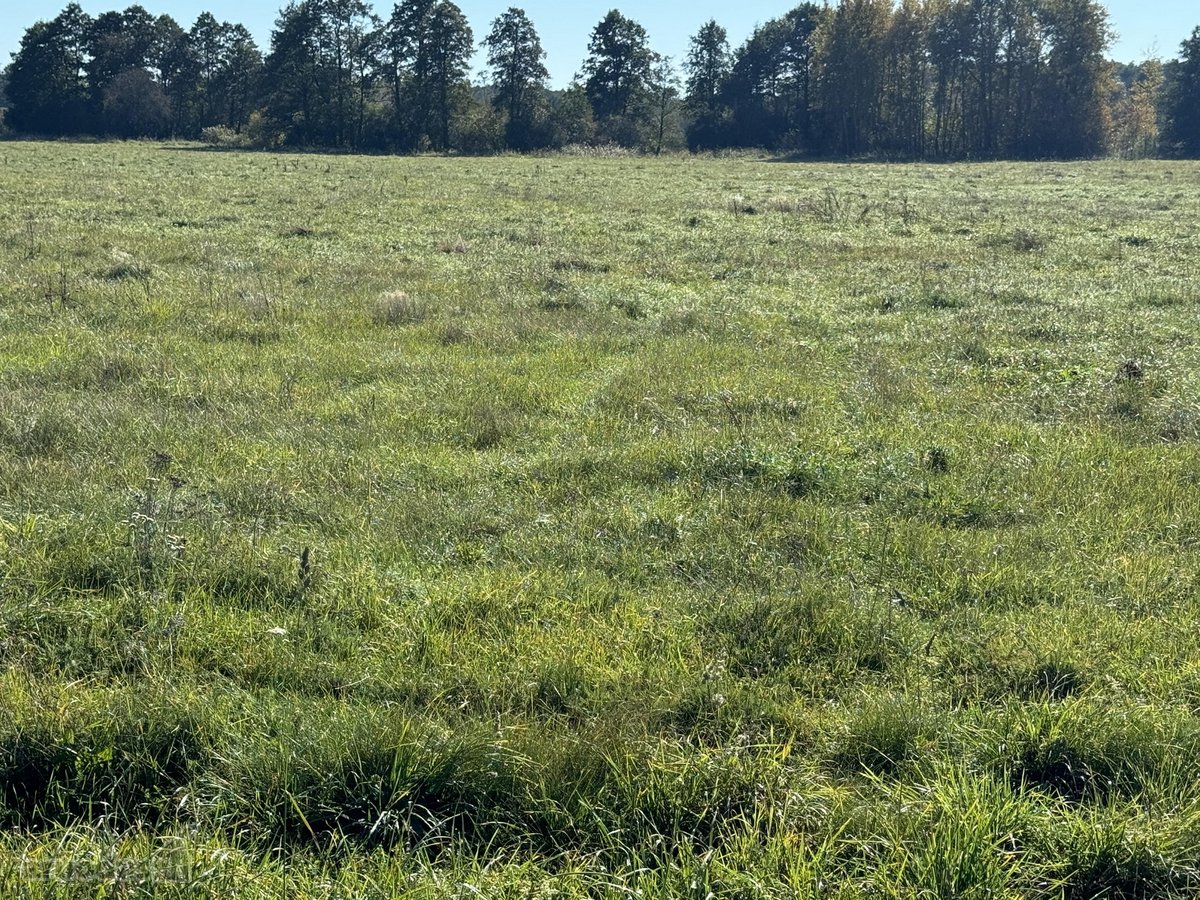 Parduodamas 9,3900 ha žemės ūkio paskirties - nuotraukos Nr. 4