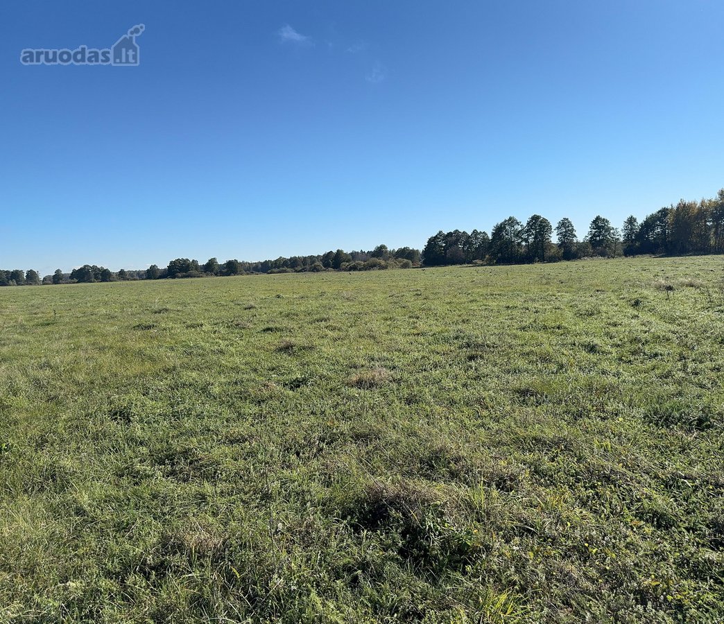 Parduodamas 9,3900 ha žemės ūkio paskirties - nuotraukos Nr. 5