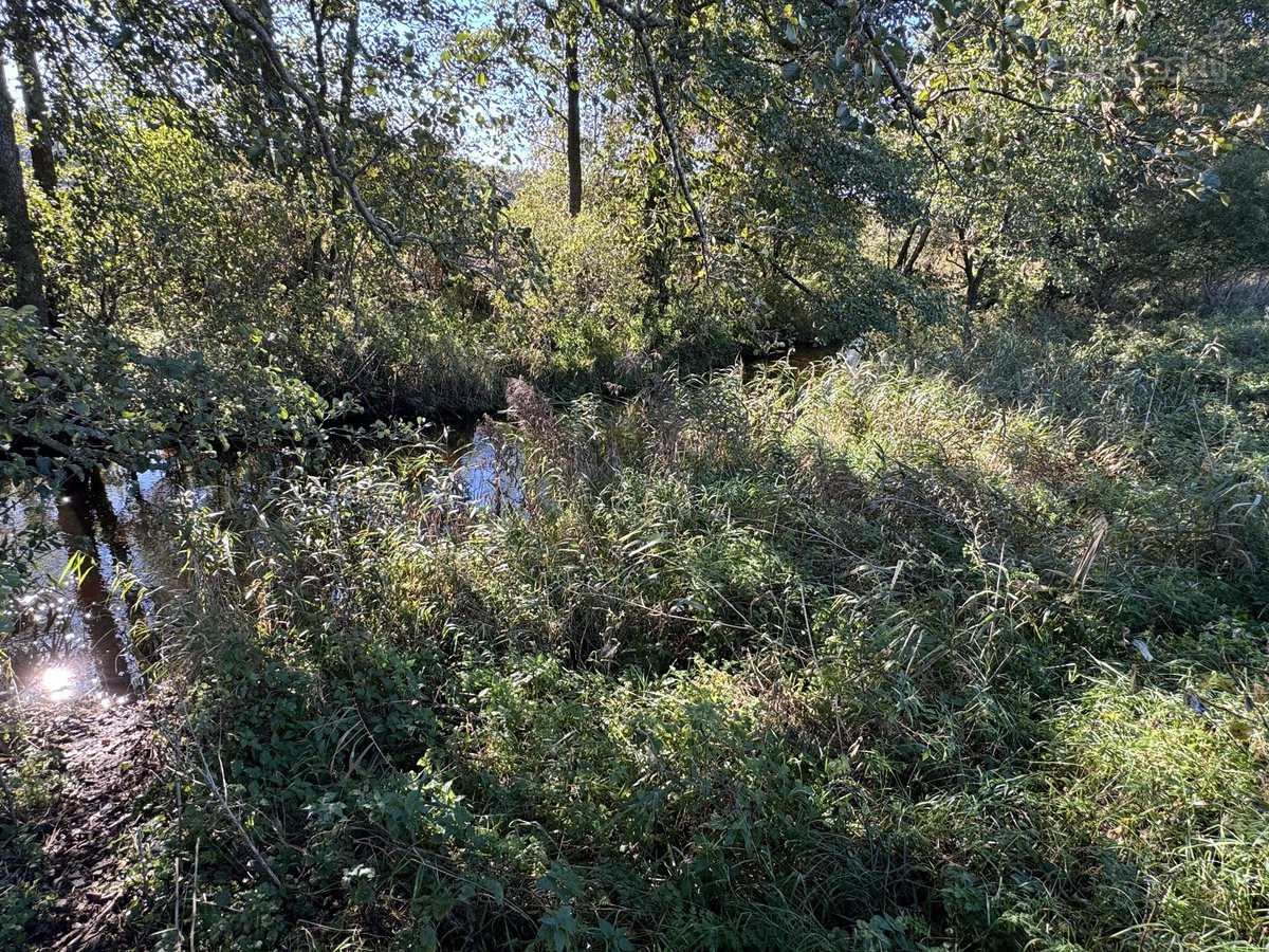 Parduodamas 9,3900 ha žemės ūkio paskirties - nuotraukos Nr. 8