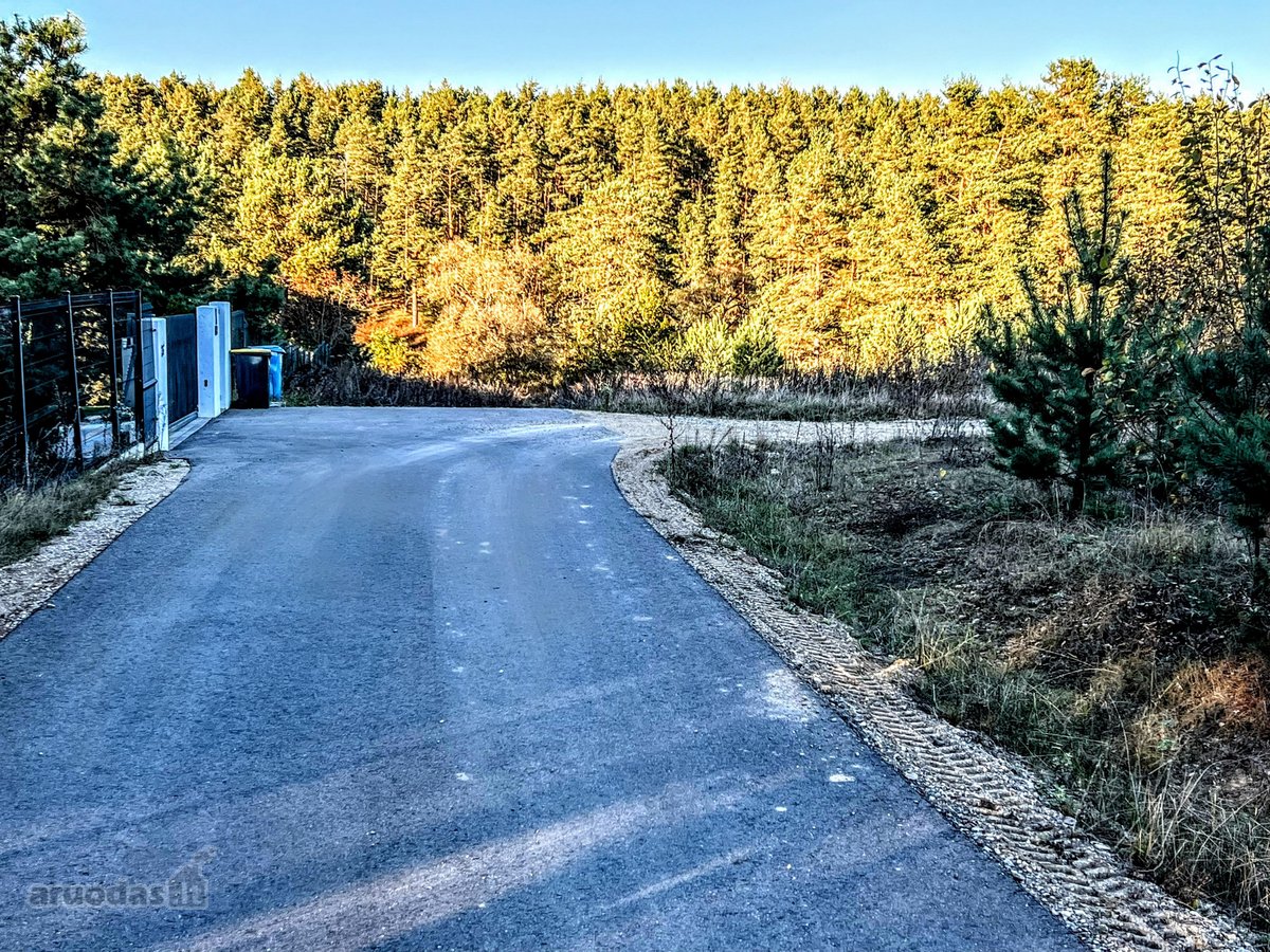 Vaizdingoje ir ramioje vietovėjė prie Neries