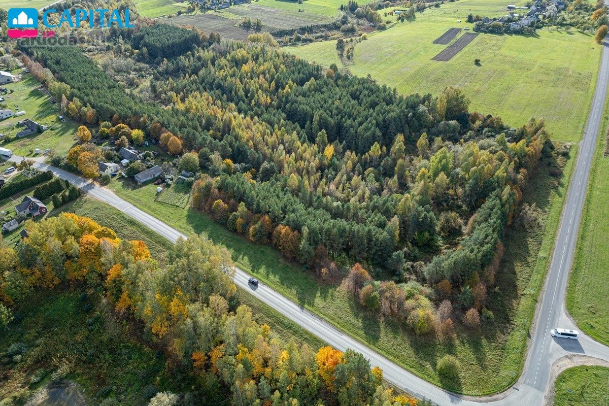 Parduodamas miško ir žemės ūkio paskirties - nuotraukos Nr. 10