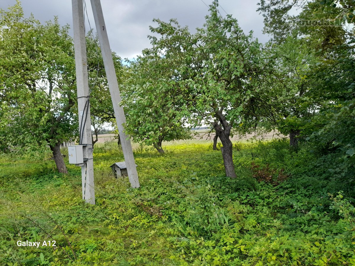 Parduodama sodyba su 31a sklypu,žemės sklypo - nuotraukos Nr. 6