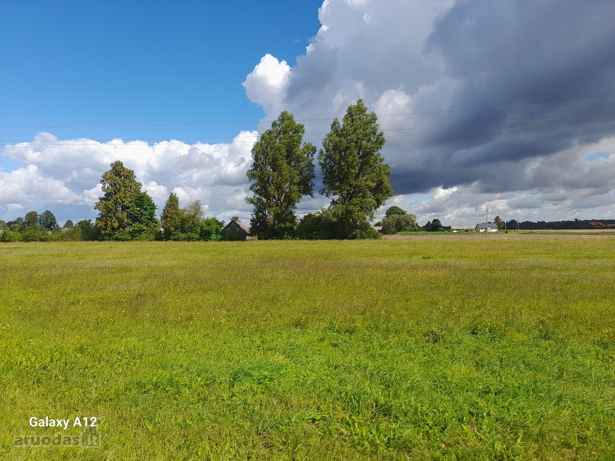 Parduodama sodyba su 31a sklypu,žemės sklypo - nuotraukos Nr. 8