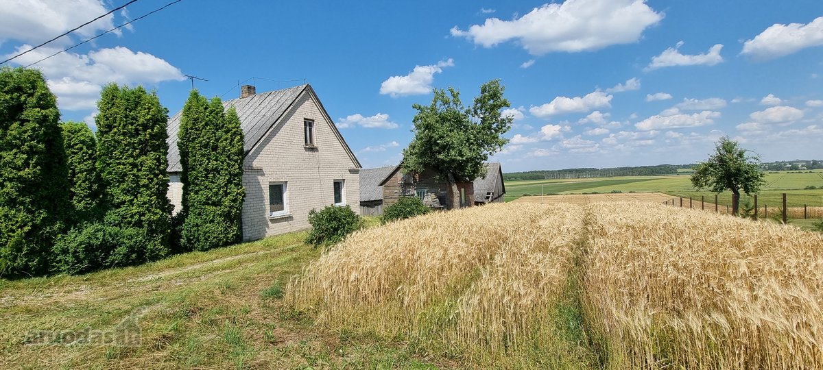 Sodyba skirta nuolatiniam gyvenimui, verslui - Skelbiu.lt