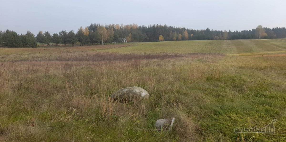 Žemės sklypo plotas- 0,5123 ha. - nuotraukos Nr. 3