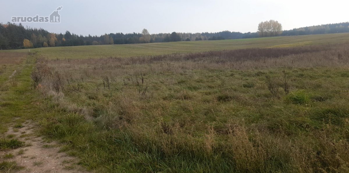 Žemės sklypo plotas- 0,5123 ha. - nuotraukos Nr. 4
