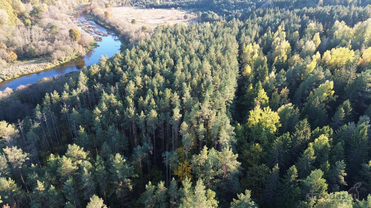 Parduodami du miškų ūkio skypai, 7,88 ha. ir - nuotraukos Nr. 2