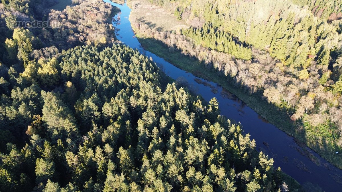 Parduodami du miškų ūkio skypai, 7,88 ha. ir - nuotraukos Nr. 3