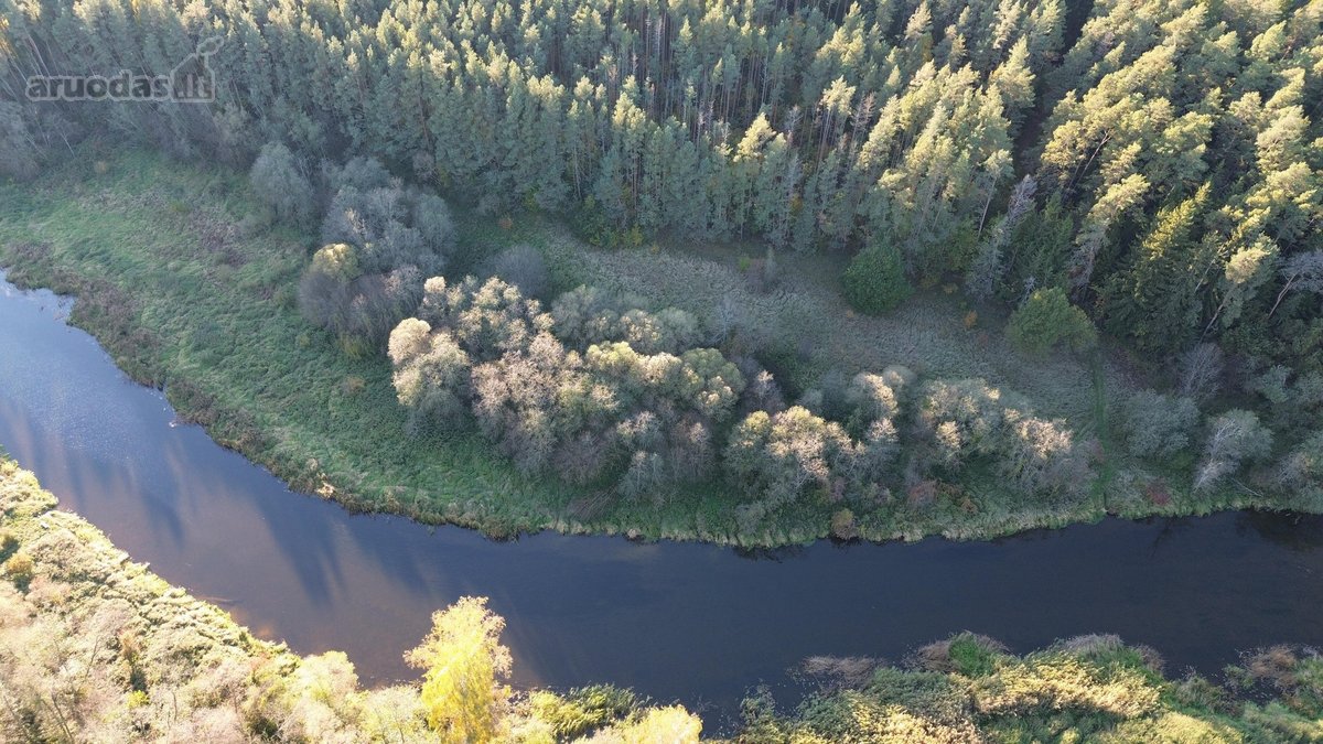 Parduodami du miškų ūkio skypai, 7,88 ha. ir - nuotraukos Nr. 5