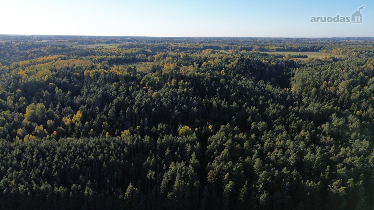 Parduodami du miškų ūkio skypai, 7,88 ha. ir - nuotraukos Nr. 6