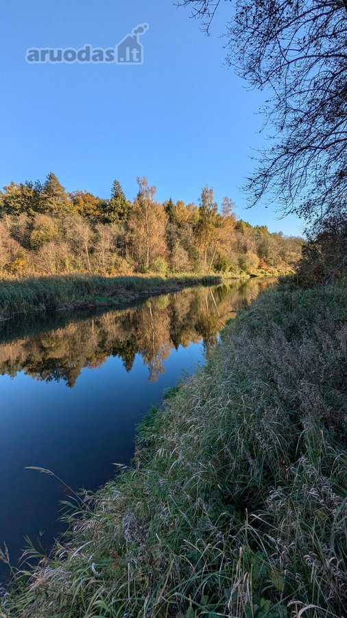 Parduodami du miškų ūkio skypai, 7,88 ha. ir - nuotraukos Nr. 8