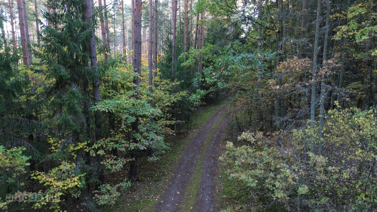 Parduodami du miškų ūkio skypai, 7,88 ha. ir - nuotraukos Nr. 9