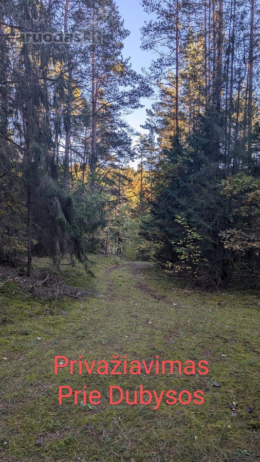 Parduodami du miškų ūkio skypai, 7,88 ha. ir - nuotraukos Nr. 10