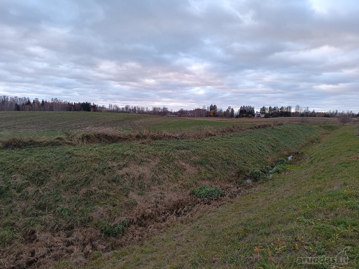 Parduodamas Žemes ūkio paskirties sklypas, - nuotraukos Nr. 2