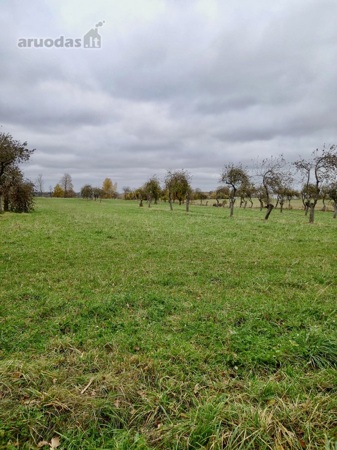 Žemės ūkio paskirties sklypas 8,33 ha., - nuotraukos Nr. 3