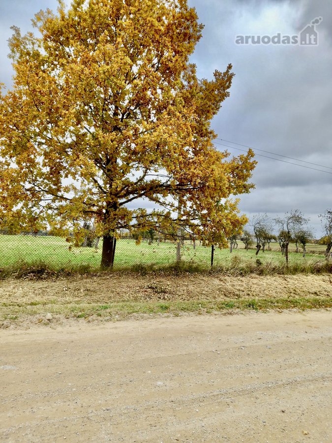 Žemės ūkio paskirties sklypas 8,33 ha., - nuotraukos Nr. 2