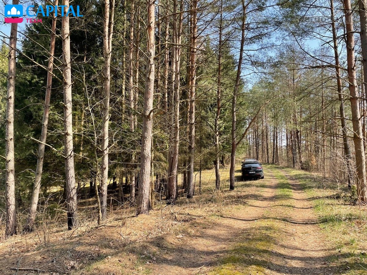 Parduodamas 127 Arų Namų Valdos Žemės Sklypas - nuotraukos Nr. 16