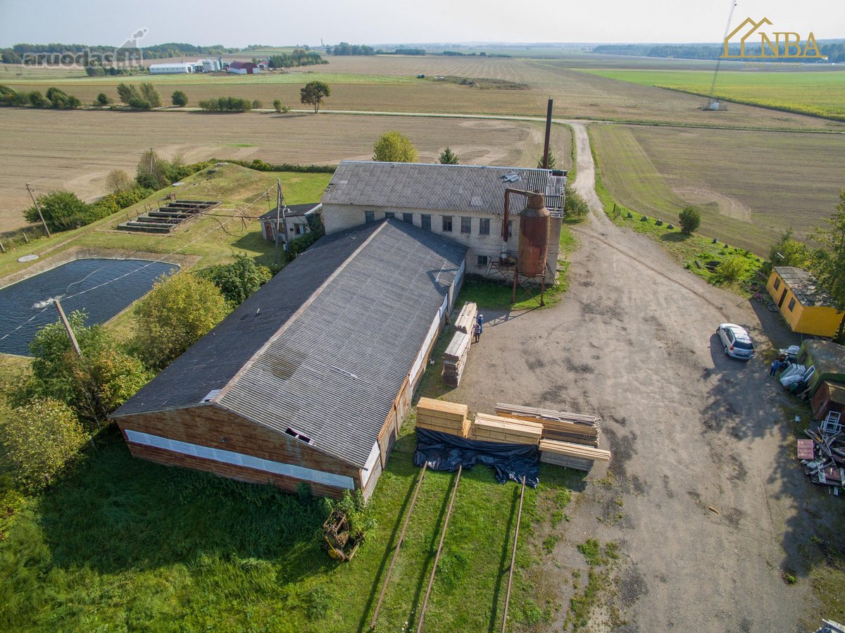 Nuomojamos 987,91 Kv. M Gamybinės Patalpos – - nuotraukos Nr. 3