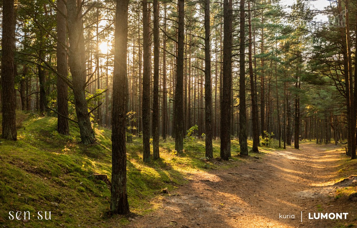 Kai erdvės daugiau, nei tikiesi iš 2 kambarių. - nuotraukos Nr. 28