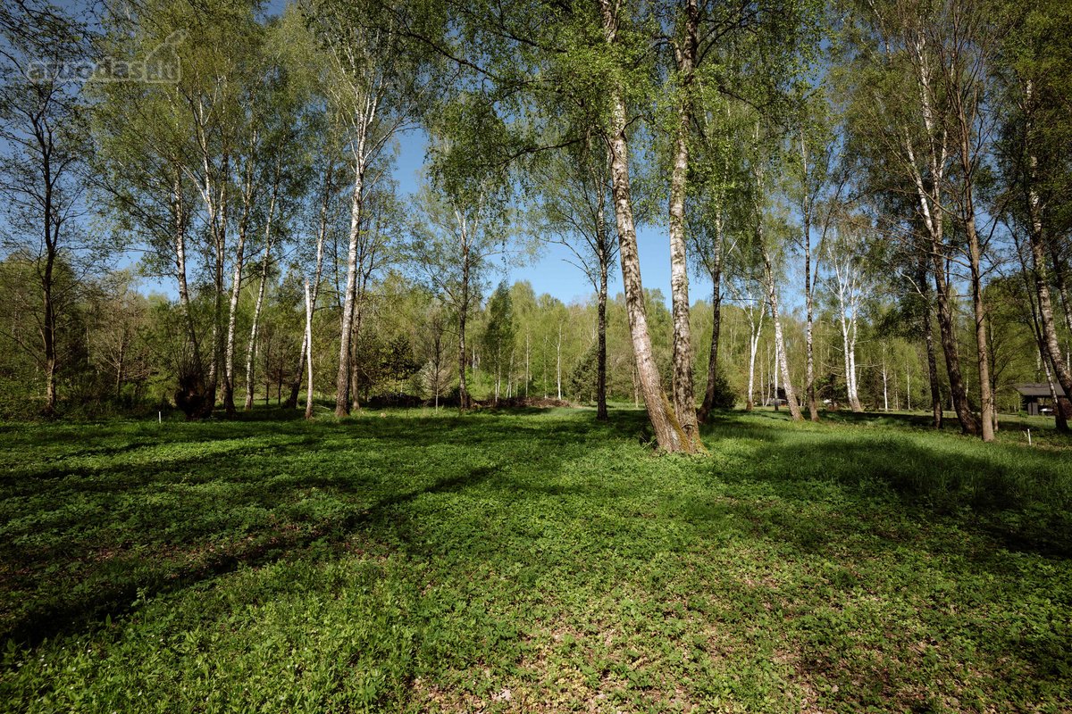 Parduodamas 99.91 aro žemės sklypas. Sklypas - nuotraukos Nr. 2