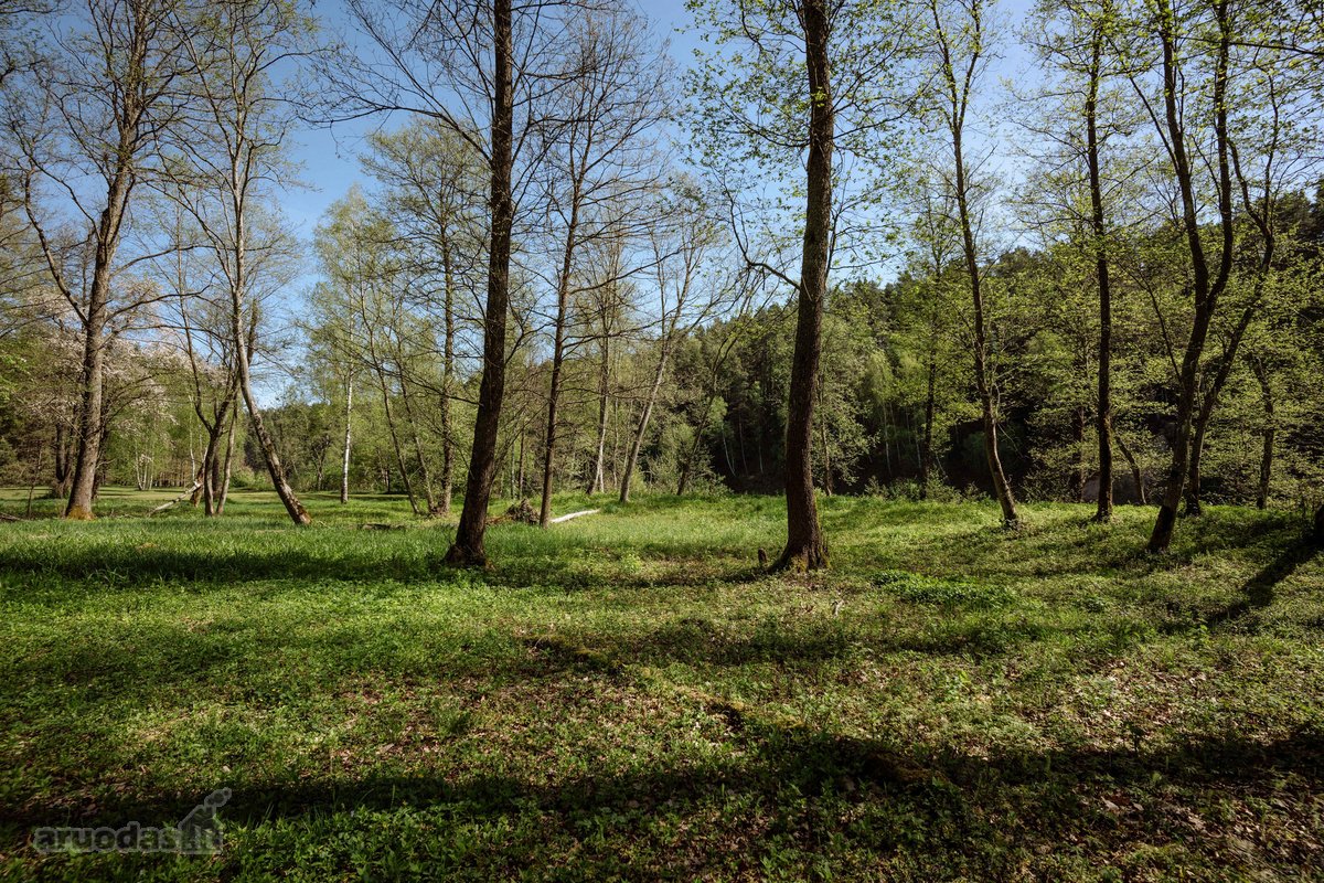 Parduodamas 99.91 aro žemės sklypas. Sklypas - nuotraukos Nr. 3