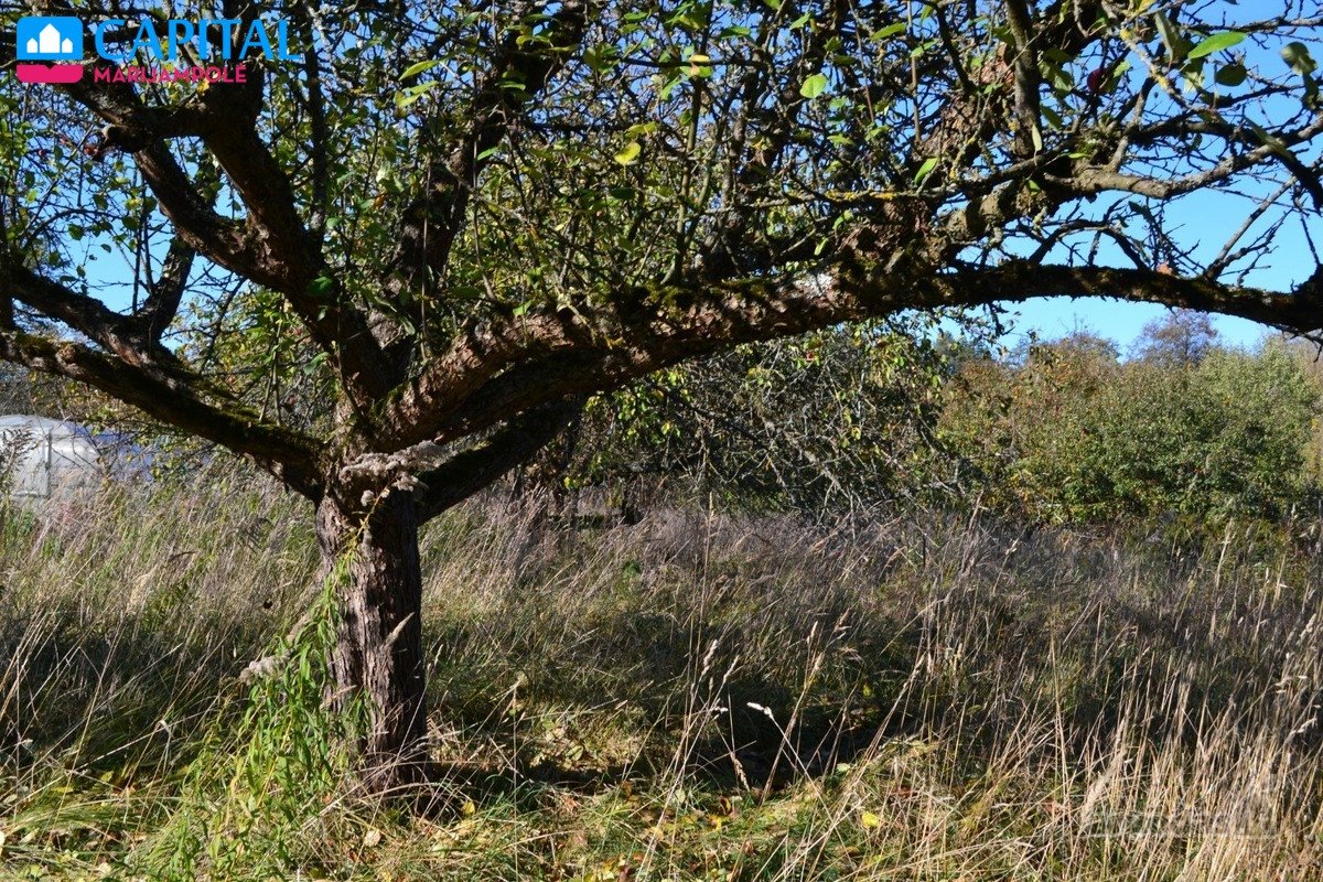 Parduodamas geras namas Kudirkos Naumiestyje - nuotraukos Nr. 11