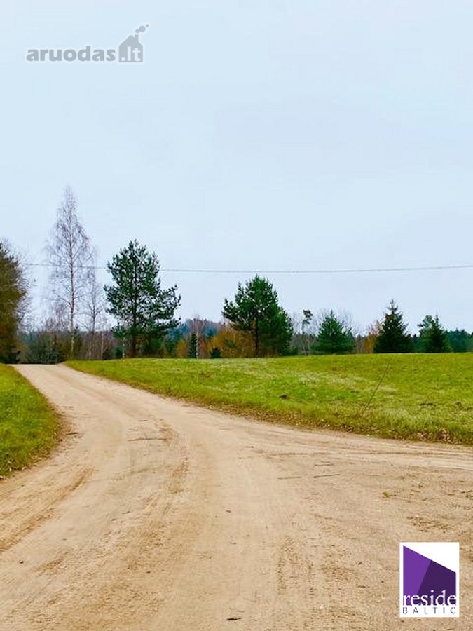 Ant Vėlykščio ežero kranto, ypač vaizdingoje - nuotraukos Nr. 4