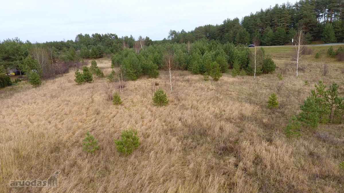 Parduodamas 65 arų namų valdos žemės sklypas - nuotraukos Nr. 10