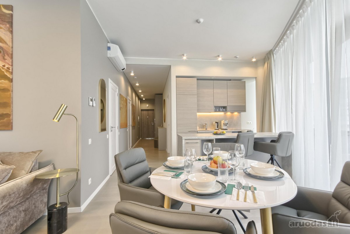 Stilingas ir erdvus apartamentas Druskininkų - nuotraukos Nr. 12