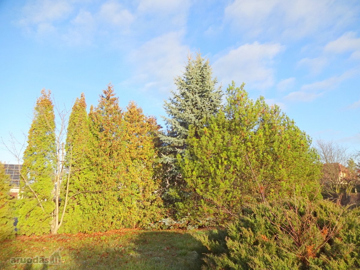 Parduodamas erdvus 15a sklypas Šarkaičių g. - nuotraukos Nr. 31