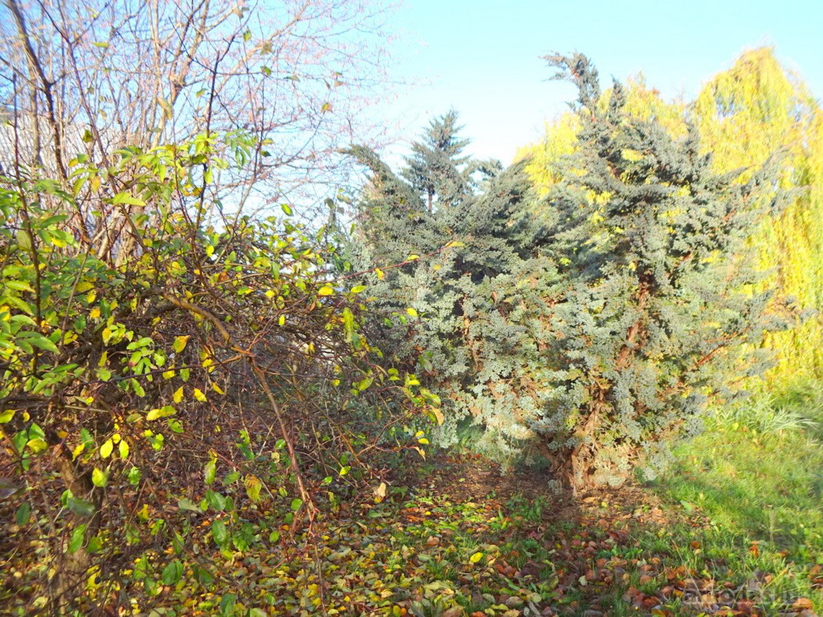Parduodamas erdvus 15a sklypas Šarkaičių g. - nuotraukos Nr. 34