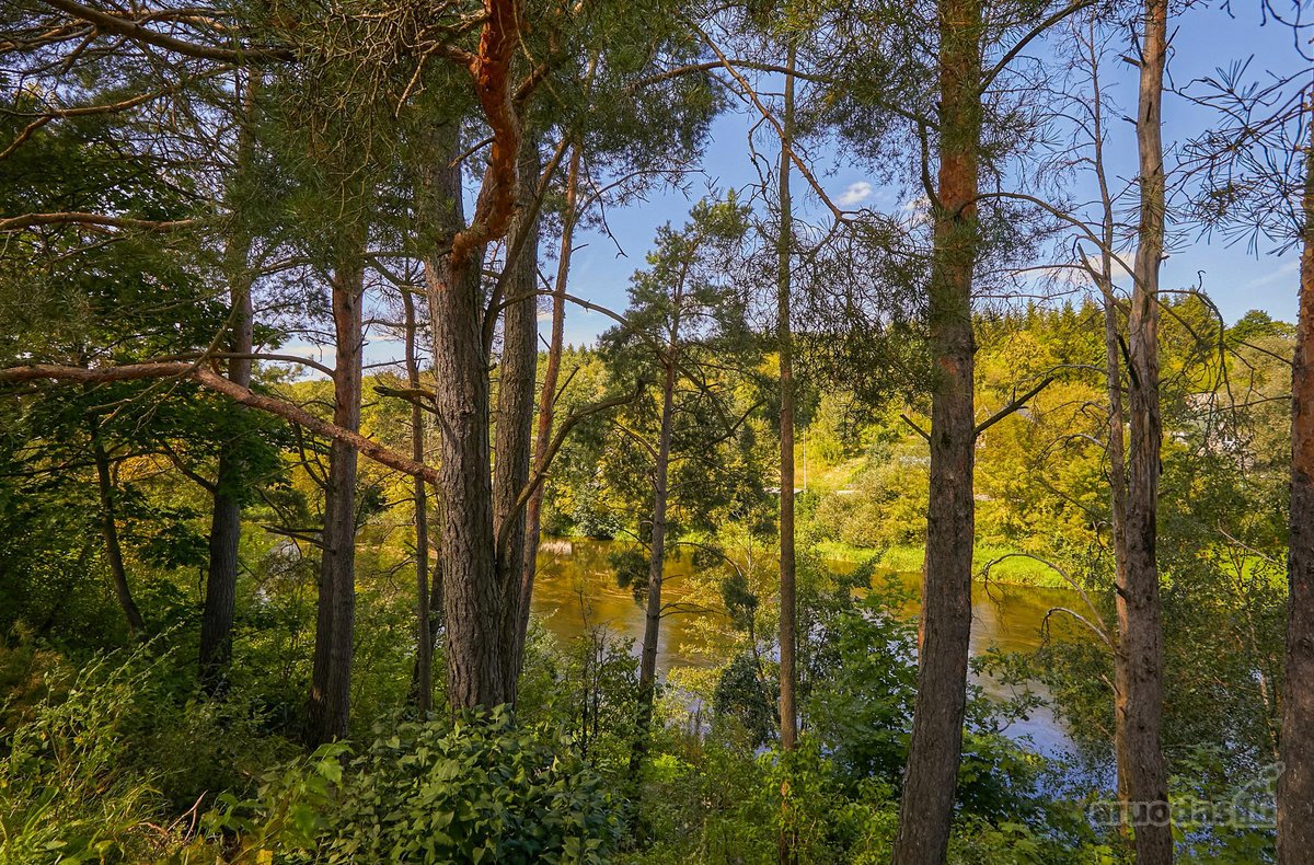 Modernus poilsio namas prie Šventosios upės - nuotraukos Nr. 14