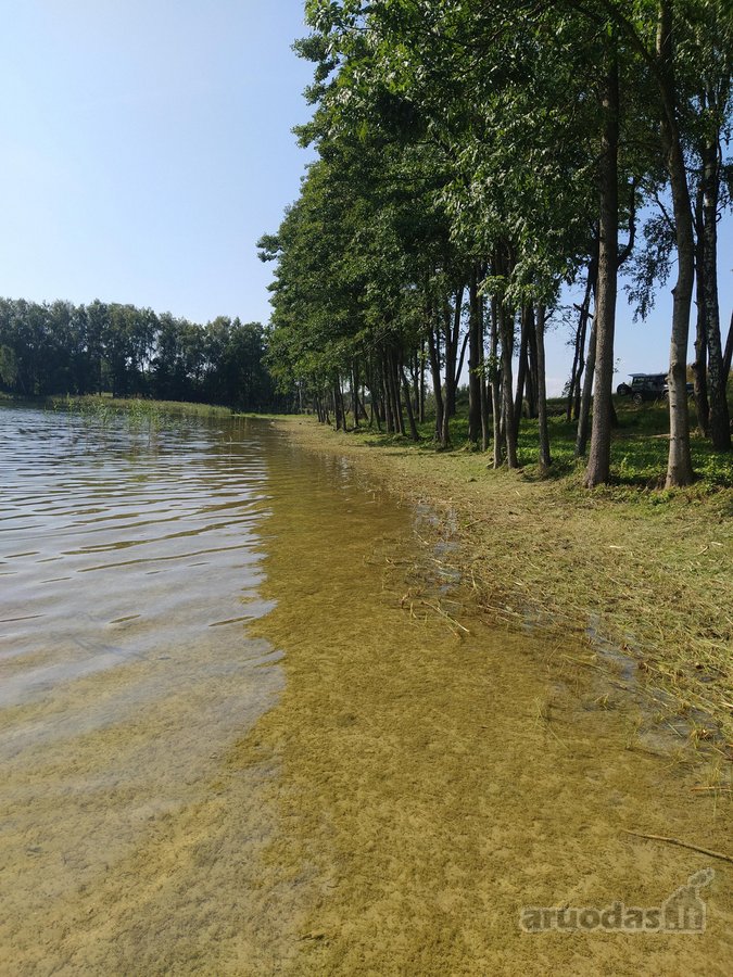 Parduodamas 46 arų namų valdos sklypas Aigėlų