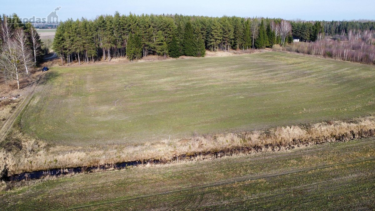 Parduodamas Didelis Sklypas Miško Apsuptyje - nuotraukos Nr. 3