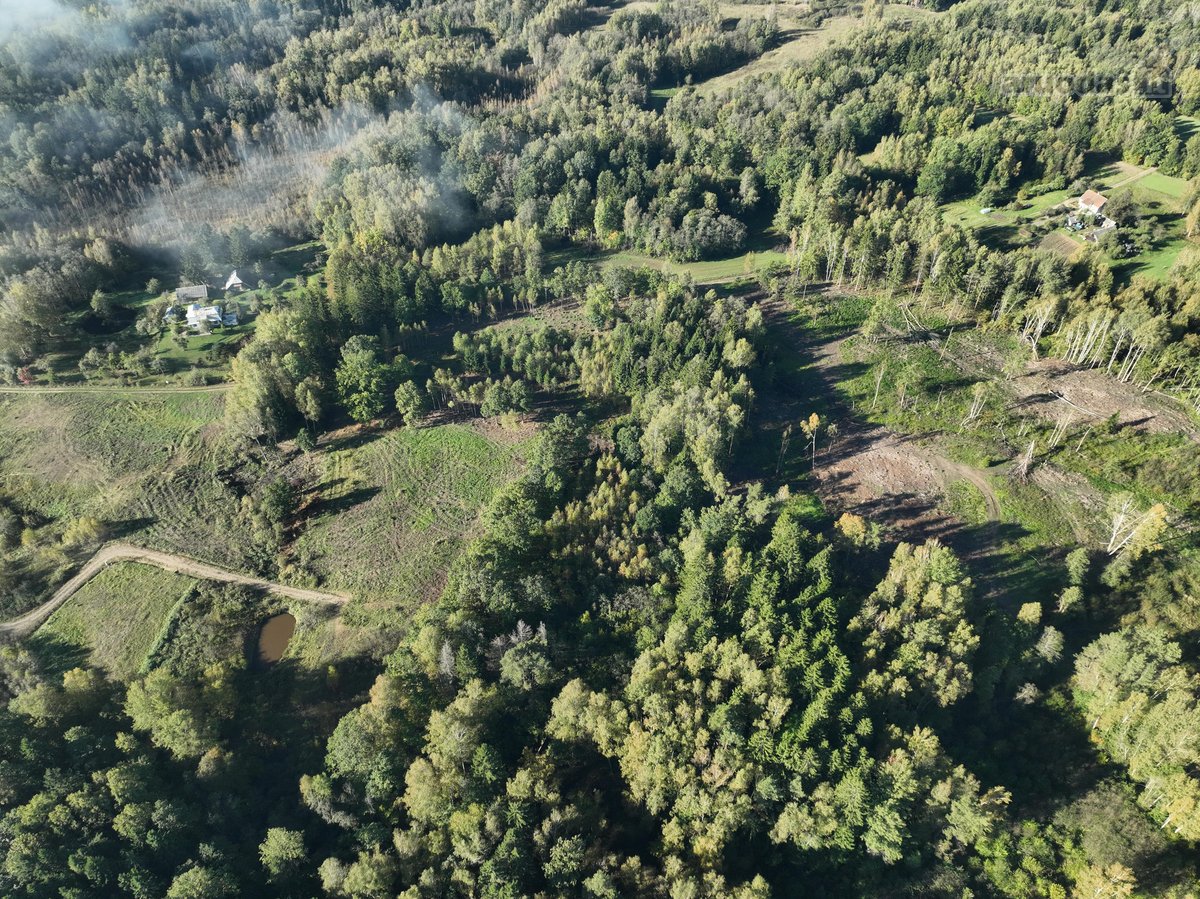 Parduodami 5 namų valdos sklypai po 15arų. - nuotraukos Nr. 11