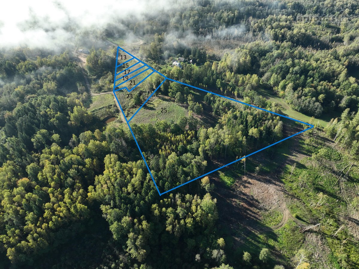 Parduodami 5 namų valdos sklypai po 15arų. - nuotraukos Nr. 12